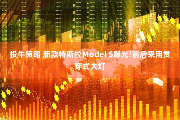 投牛策略 新款特斯拉Model S曝光!前后采用贯穿式大灯